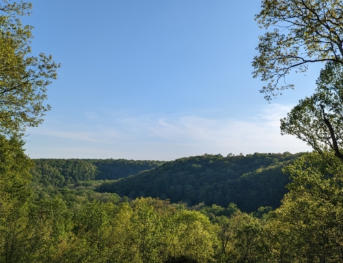 Hiking the Echo River Spring and Sinkhole Loop
