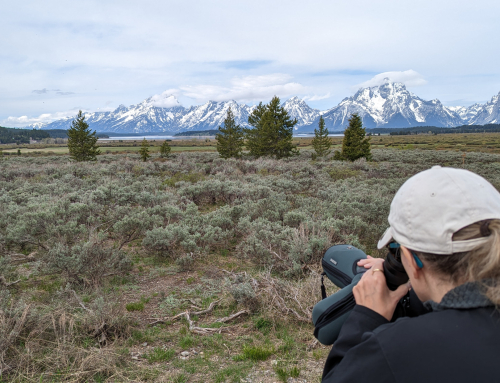 My Happy Place – The Grand Tetons!